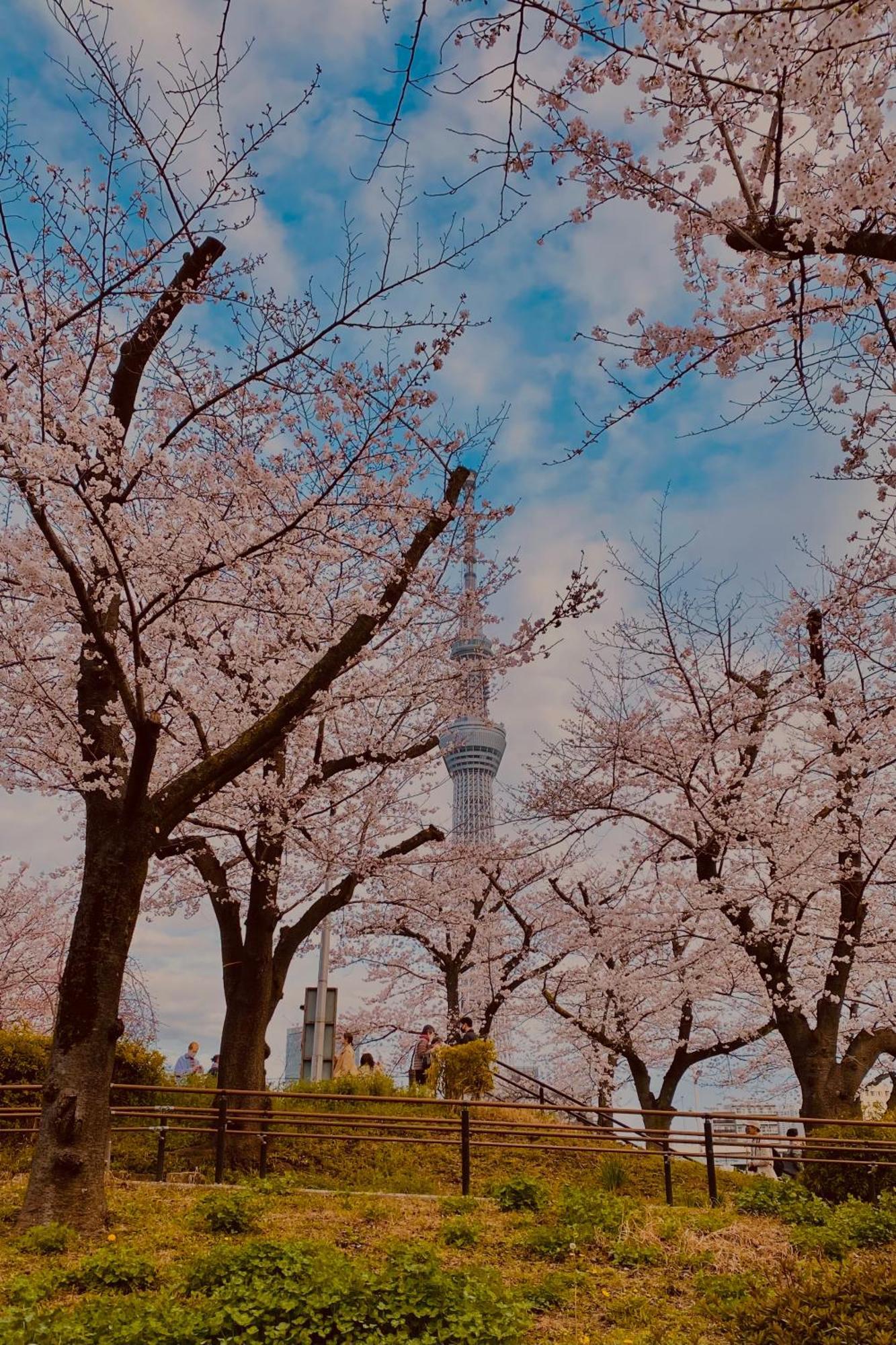 Toe Library Tokyo Asakusa Kültér fotó